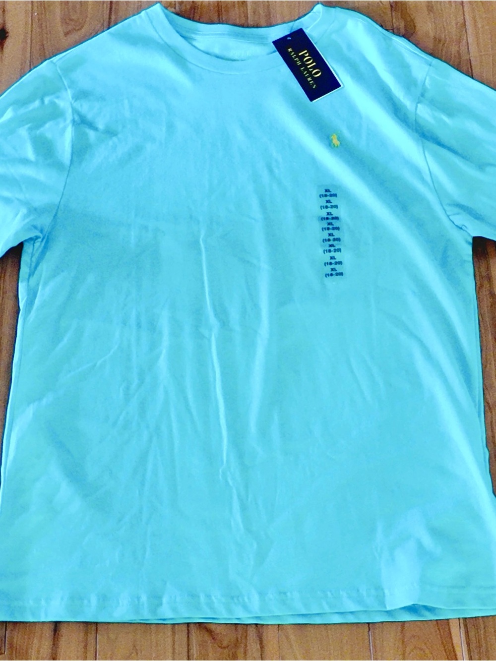 Polo by Ralph Lauren Men’s Aqua Crew Neck T-Shirt